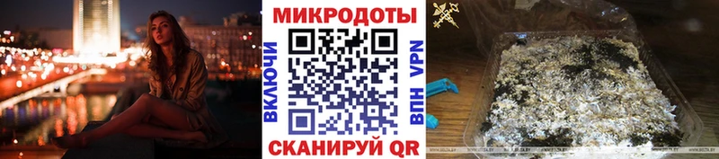 закладки  Михайловск  Псилоцибиновые грибы MAGIC MUSHROOMS 